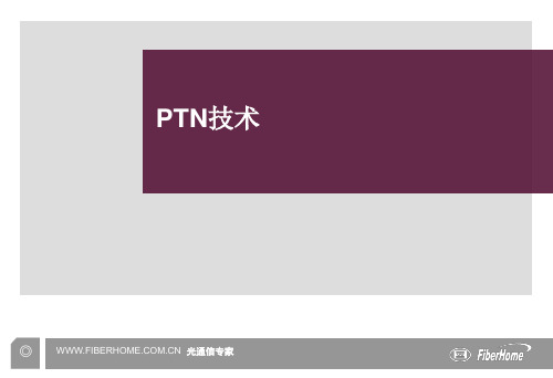 PTN技术