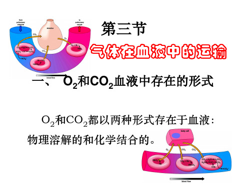 生理学：气体在血液中的运输