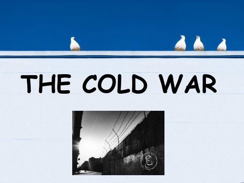 冷战英文介绍 the cold war
