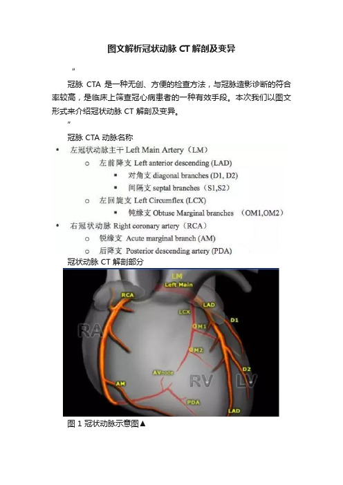 图文解析冠状动脉CT解剖及变异