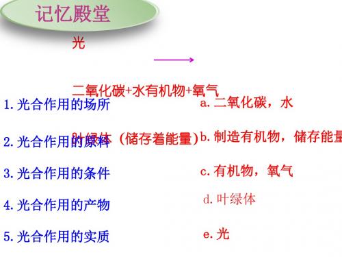 3.5.2绿色植物的呼吸作用优秀课件(共23张PPT素材)(3份打包)