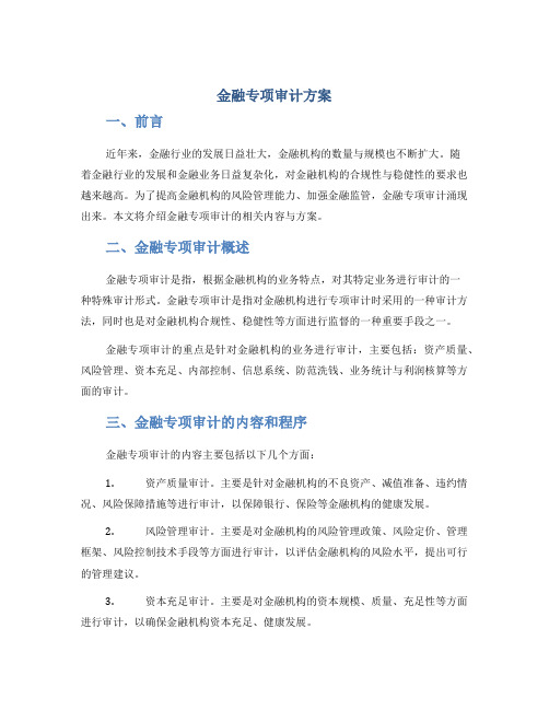 金融专项审计方案