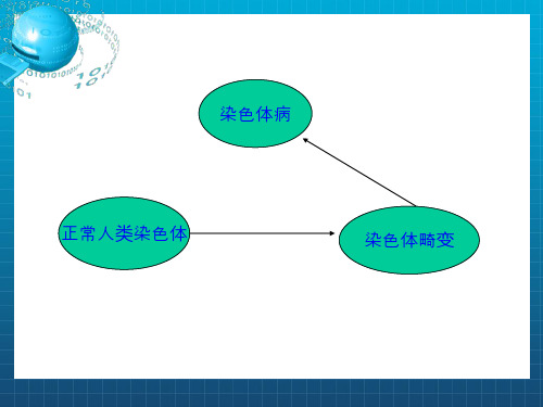 《染色体病》PPT课件