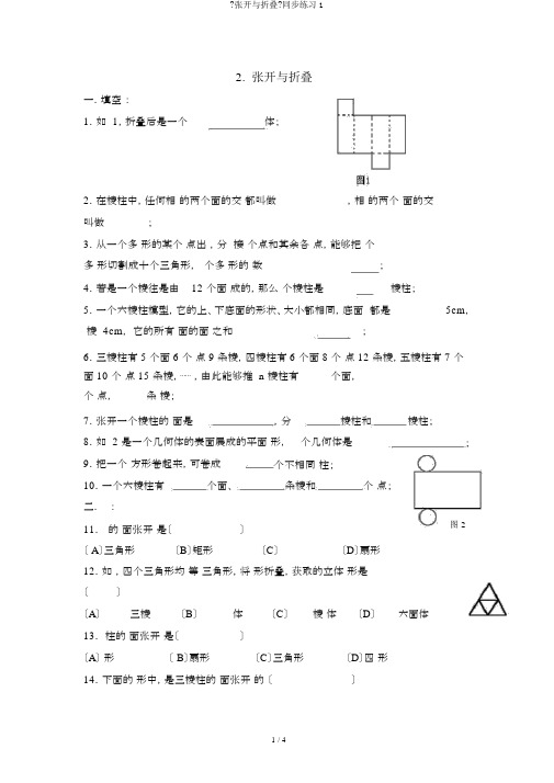 《展开与折叠》同步练习1