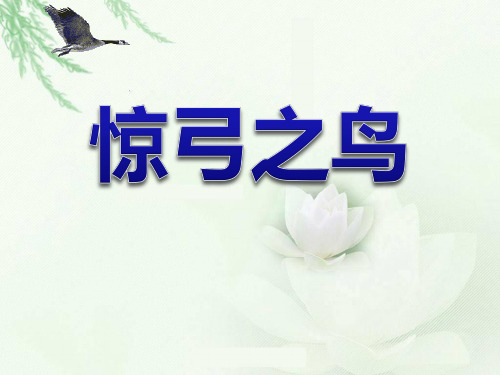 《惊弓之鸟》课件PPT文档(1)