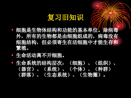 高中生物必修一第一章第二节细胞的多样性和统一性PPT课件