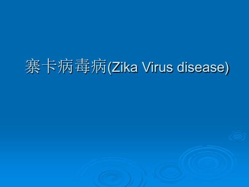 寨卡病毒病(Zika Virus)