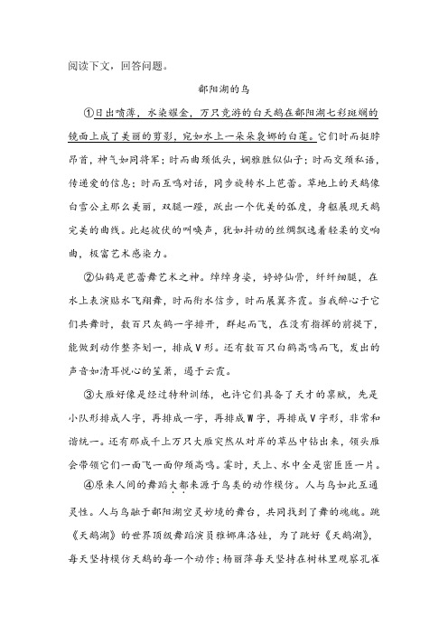 《鄱阳湖的鸟》阅读练习及答案