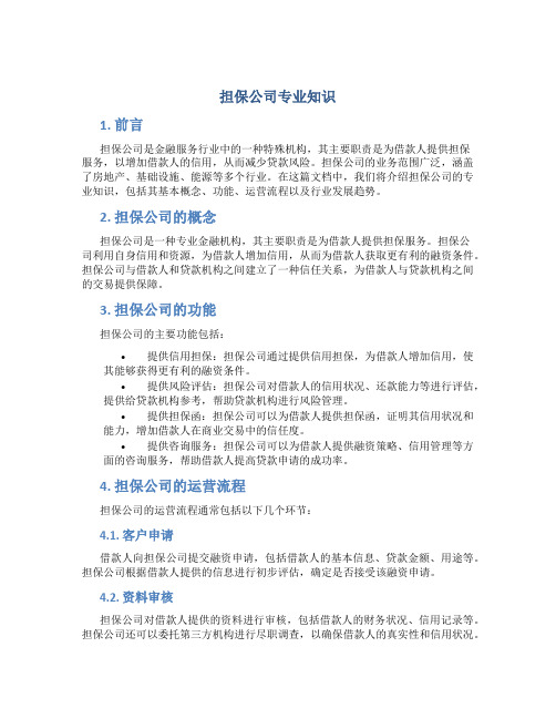 担保公司专业知识