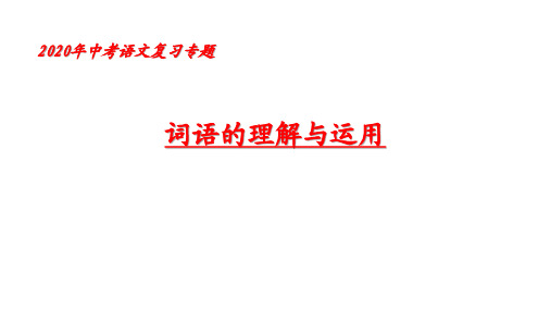 中考语文备考专题_词语的理解与运用 课件 (共47张PPT)