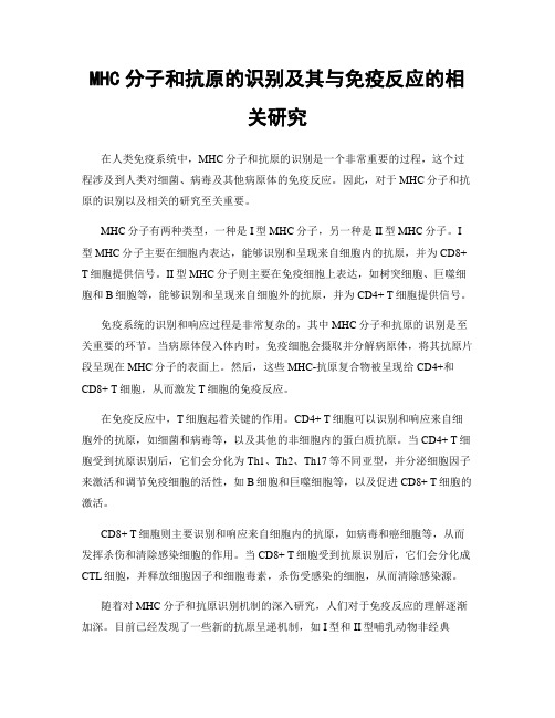 MHC分子和抗原的识别及其与免疫反应的相关研究