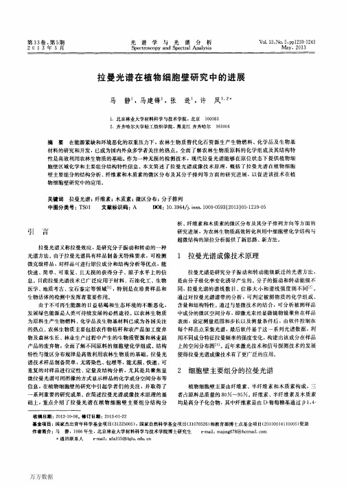 拉曼光谱在植物细胞壁研究中的进展