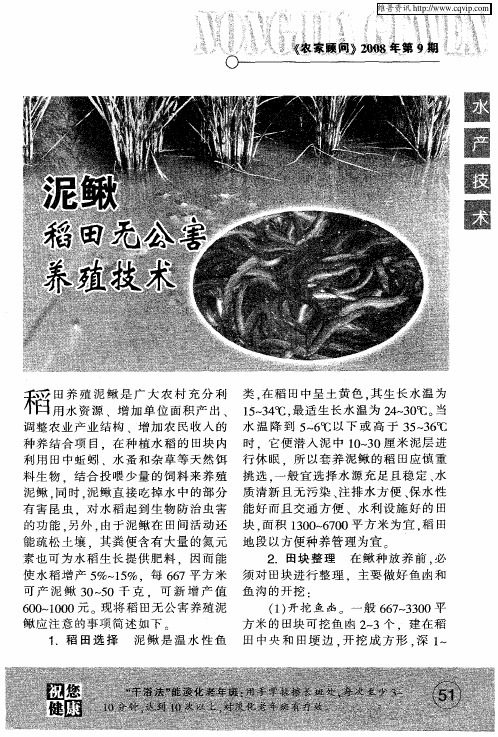 泥鳅稻田无公害养殖技术
