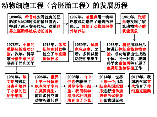 动物细胞工程 第1课时 动物细胞培养 课件【新教材】人教版(2019)高中生物选择性必修三