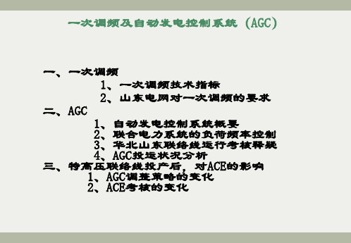 一次调频及AGC讲课