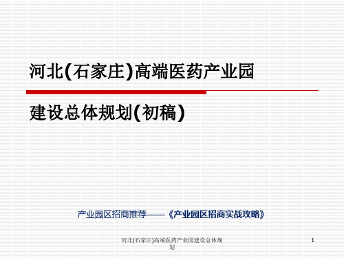 河北(石家庄)高端医药产业园建设总体规划课件