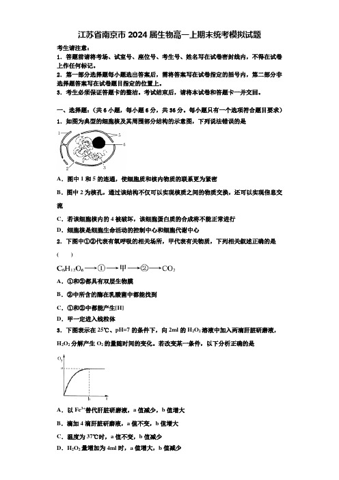 江苏省南京市2024届生物高一上期末统考模拟试题含解析