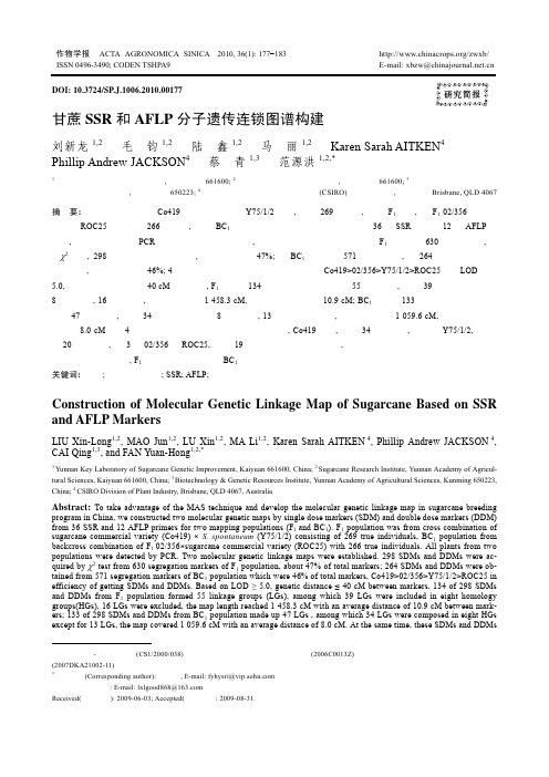 甘蔗SSR和AFLP分子遗传连锁图谱构建