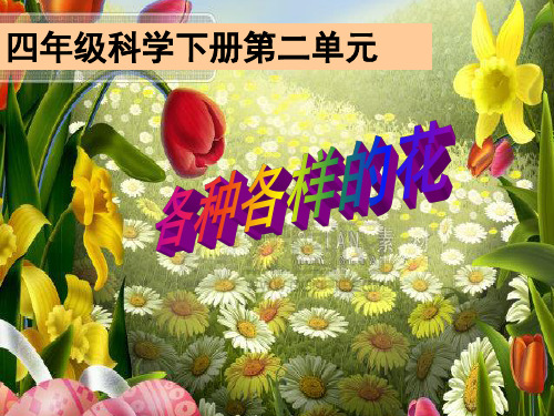 四年级下册科学课件-2.2 各种各样的花｜教科版 (共56张PPT)