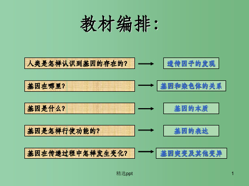 (新课标)高中生物 第5章第1节《基因突变和基因重组》课件3 新人教版必修2