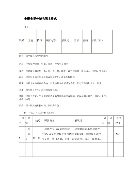 电影电视分镜头脚本格式