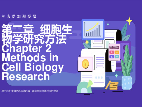 细胞生物学研究方法-4学时