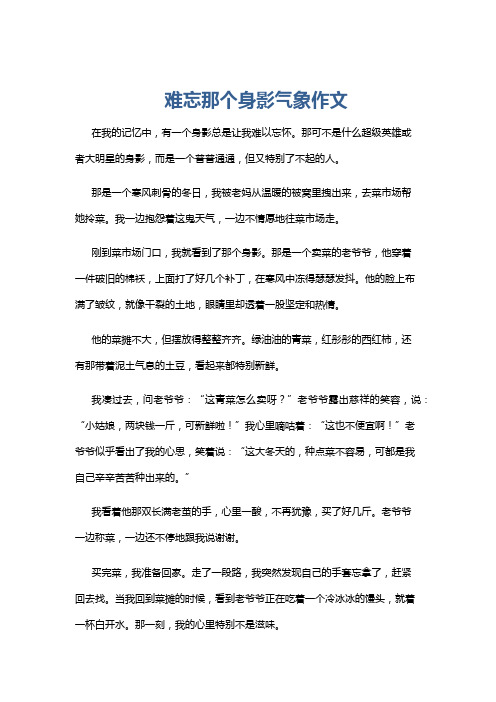 难忘那个身影气象作文