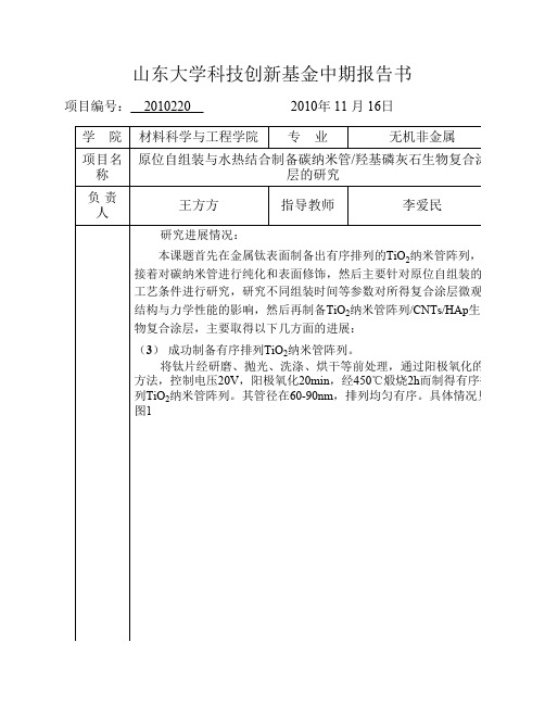 大学生科技创新基金项目中期进度报告模板