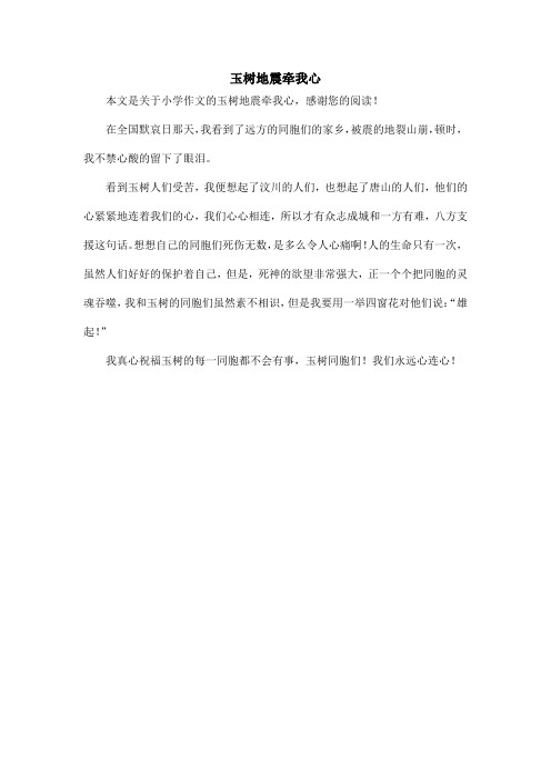 玉树地震牵我心_小学作文