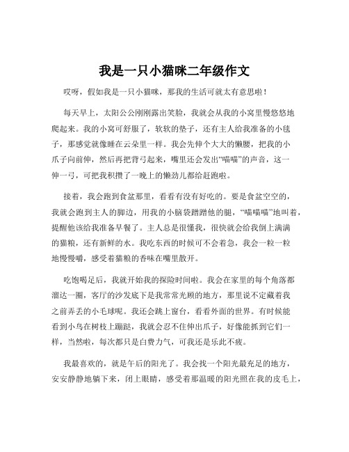 我是一只小猫咪二年级作文