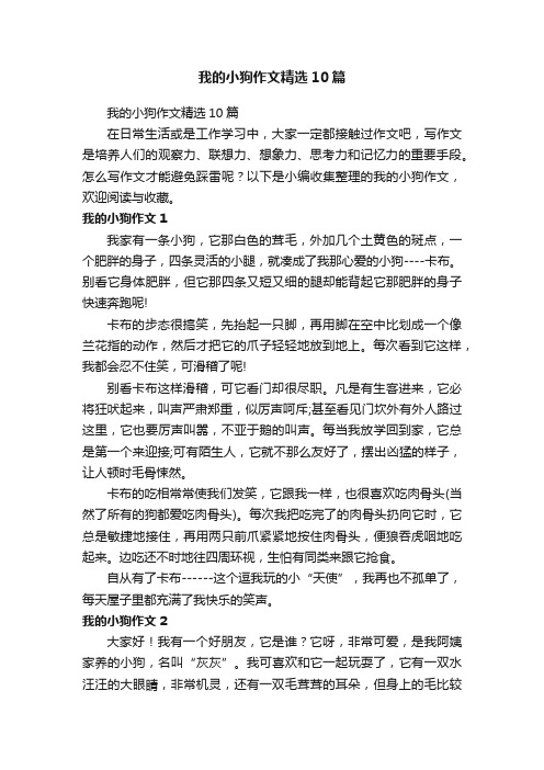 我的小狗作文精选10篇