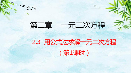 2.3 用公式法求解一元二次方程 第1课时九年级上册数学北师大版