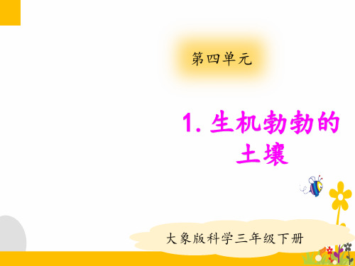 大象版(新教材)小学科学三年级下册4.1生机勃勃的土壤(1)教学课件