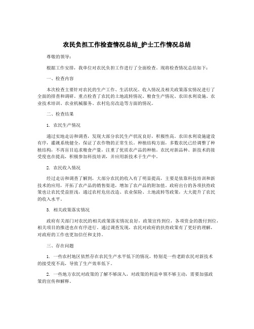 农民负担工作检查情况总结_护士工作情况总结