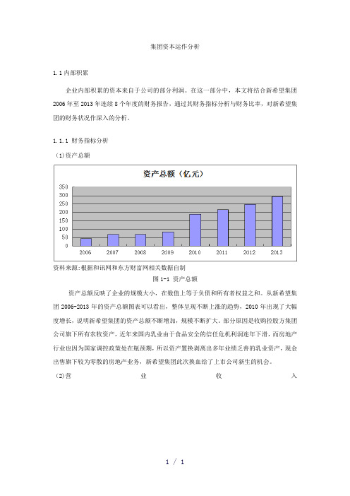 资本运作分析word版