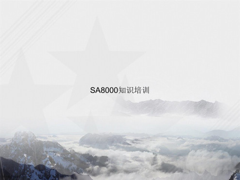 SA8000知识培训讲课文档
