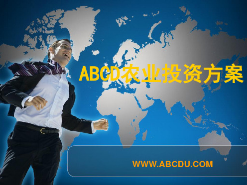 ABCD奖金制度幻灯片.ppt