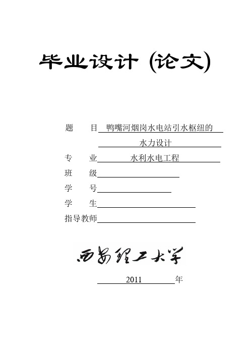 鸭嘴河水电站论文