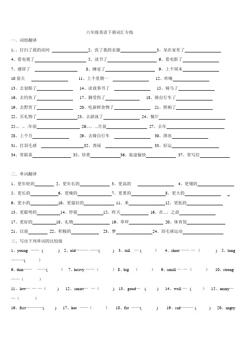 六年级英语下册词汇专练