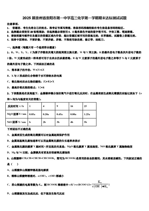 2025届贵州省贵阳市第一中学高三化学第一学期期末达标测试试题含解析