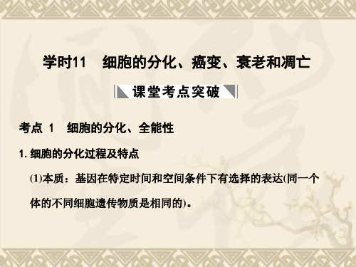 高考生物一轮复习 第四单元 学时11 细胞的分化、癌变、衰老和凋亡课件 浙科版必修1