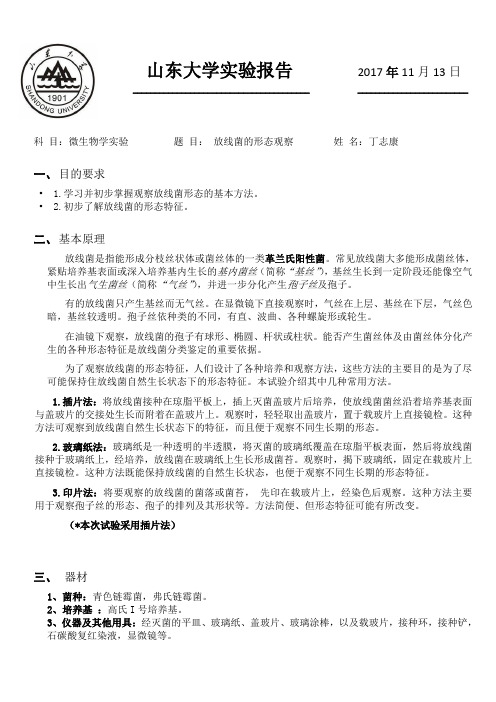 放线菌形态的观察实验报告