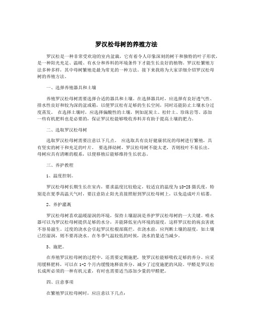 罗汉松母树的养殖方法