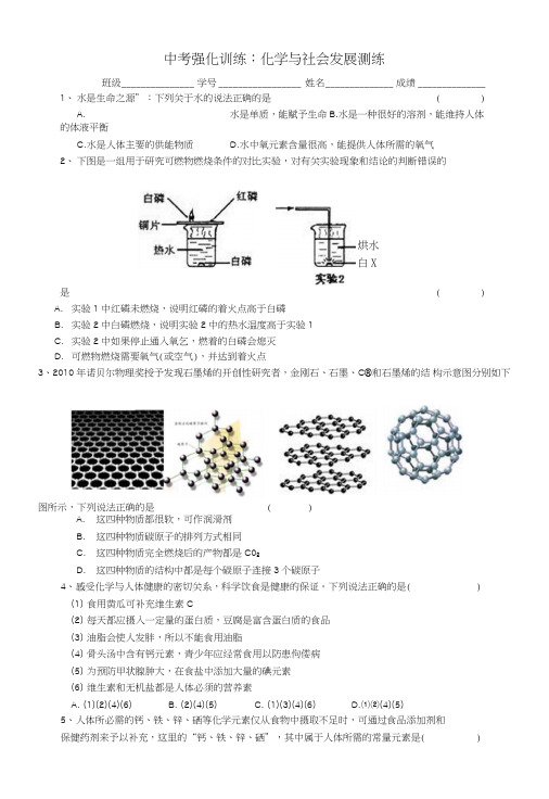 化学中考强化训练：化学与社会发展试题.doc