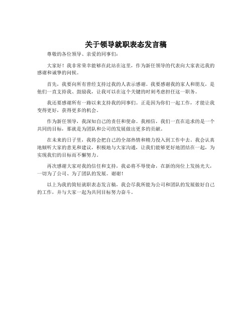 关于领导就职表态发言稿