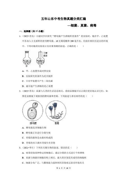 五年山东中考生物真题分类汇编---细菌、真菌、病毒