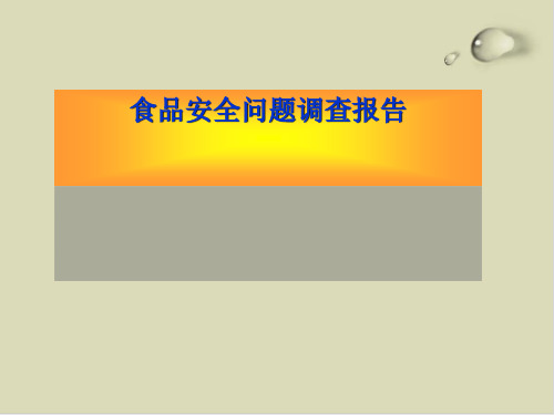 关于食品安全问题的调查报告PPT课件(15张)