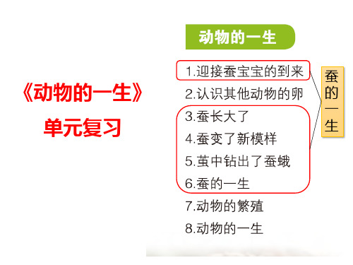 教科版三下《科学》第二单元 《动物的一生》单元知识梳理(课件)