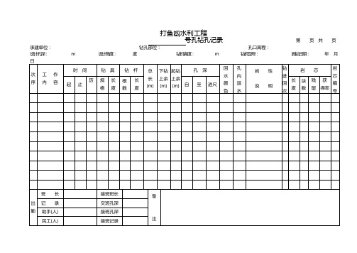 帷幕灌浆表格