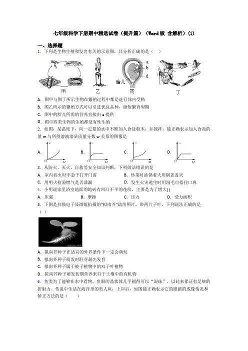 七年级科学下册期中精选试卷(提升篇)(Word版 含解析)(1)